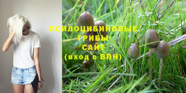 а пвп мука Осинники
