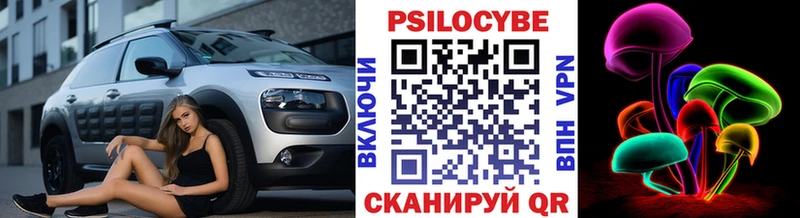 Галлюциногенные грибы Psilocybe  OMG как войти  Чкаловск  цены  